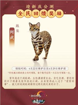 天龙八部私服   17年